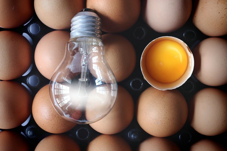 chicken-coop-light chicken-coop-light