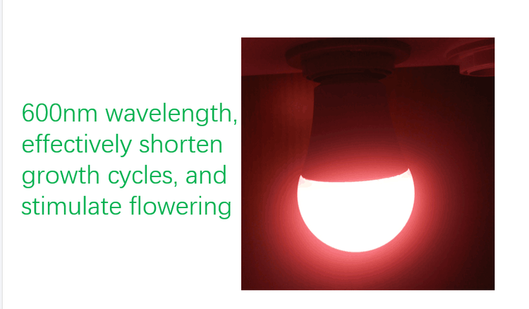 product-818-478 product-818-478