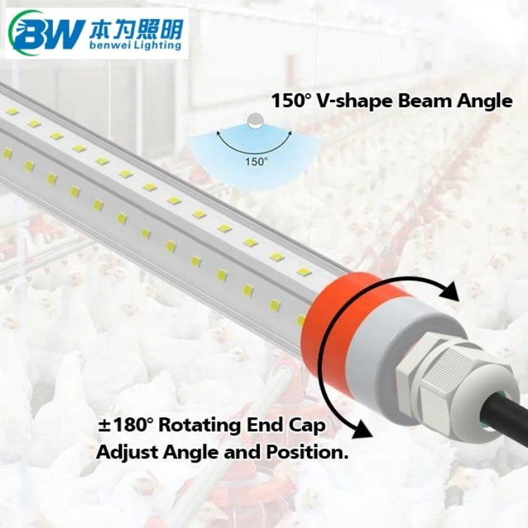 Poultry Lighting System
