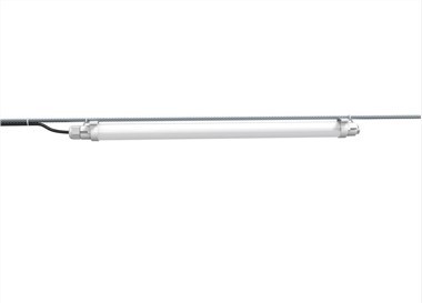 Akutoitel lamp Chicken Coopi jaoks