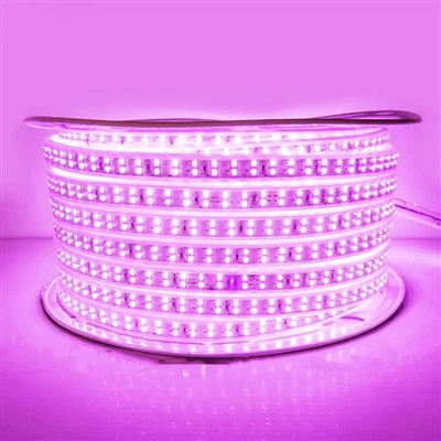 Led riba 10m