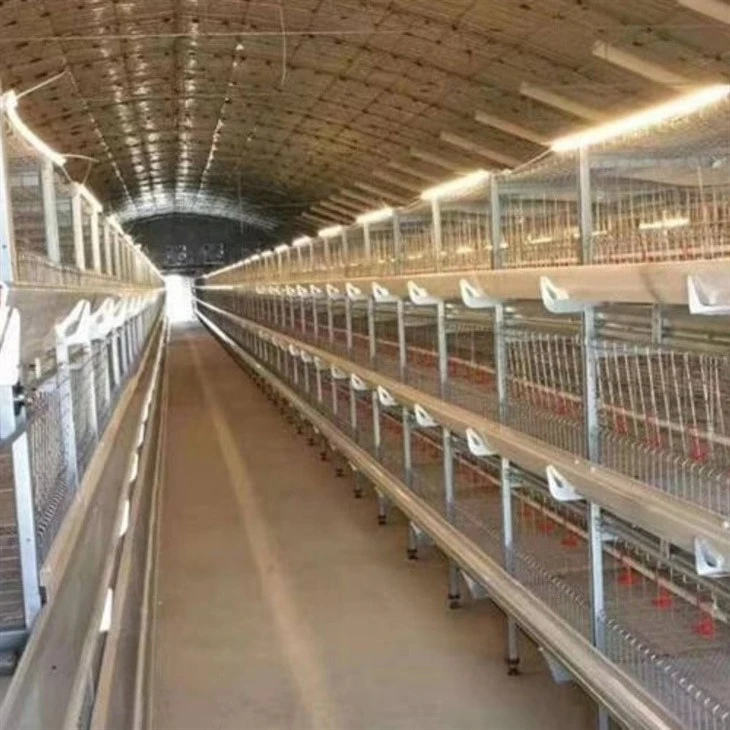 High Lumen Led Poultry Lights price