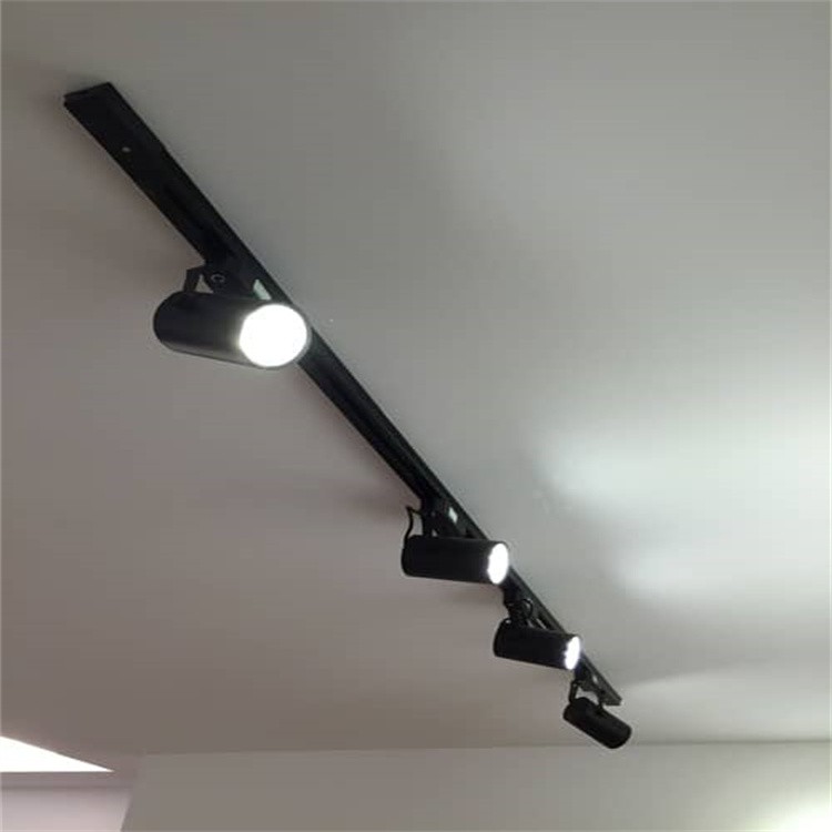 Open-Mounted Track Light 4