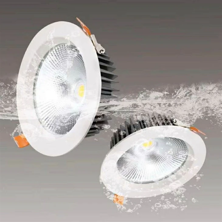 Led Downlight 55mm Cut Out