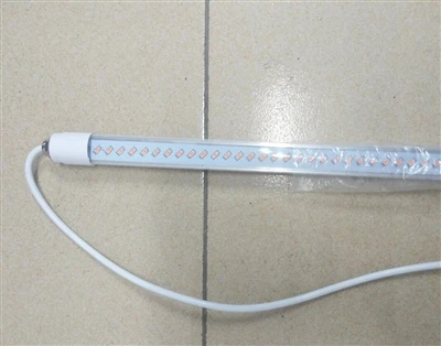 2000 tk 2800K 4000K linnuliha T8 LED toruvalgusti saadetakse sel kuul Poolasse