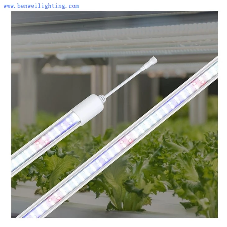 grow light light bulbs