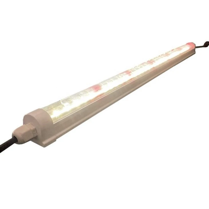 Plant Lights For Indoor Sunlight Replacement