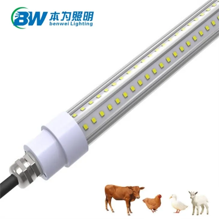 Poultry House Led Bulb