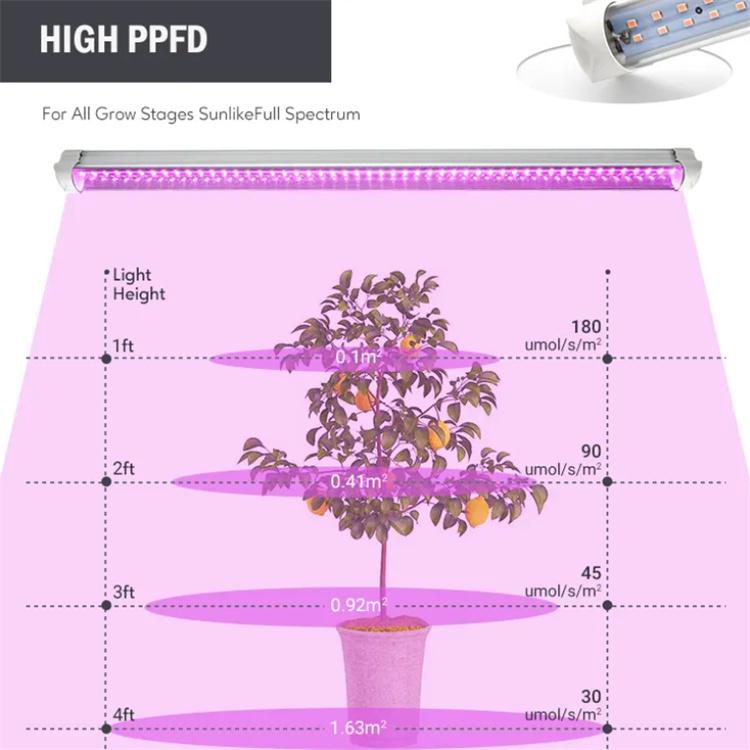 best grow lights for indoor plants best grow lights for indoor plants