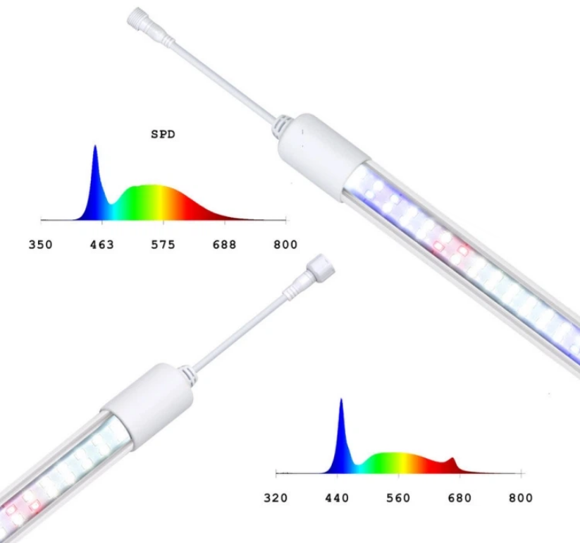 6541C9AF9484A8829332AC83252886F5 6541C9AF9484A8829332AC83252886F5