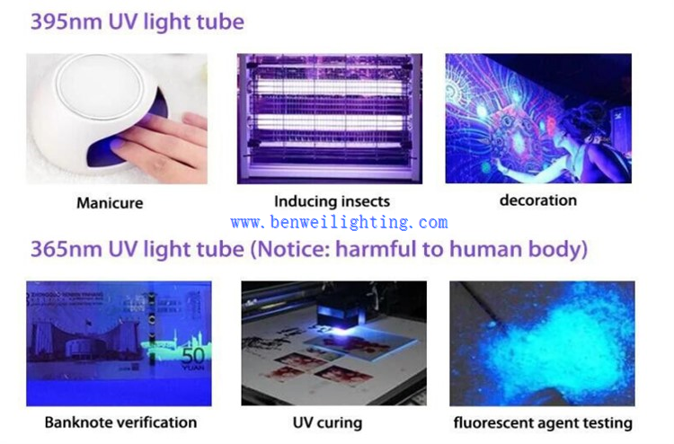 395nm tube 21 395nm tube 21