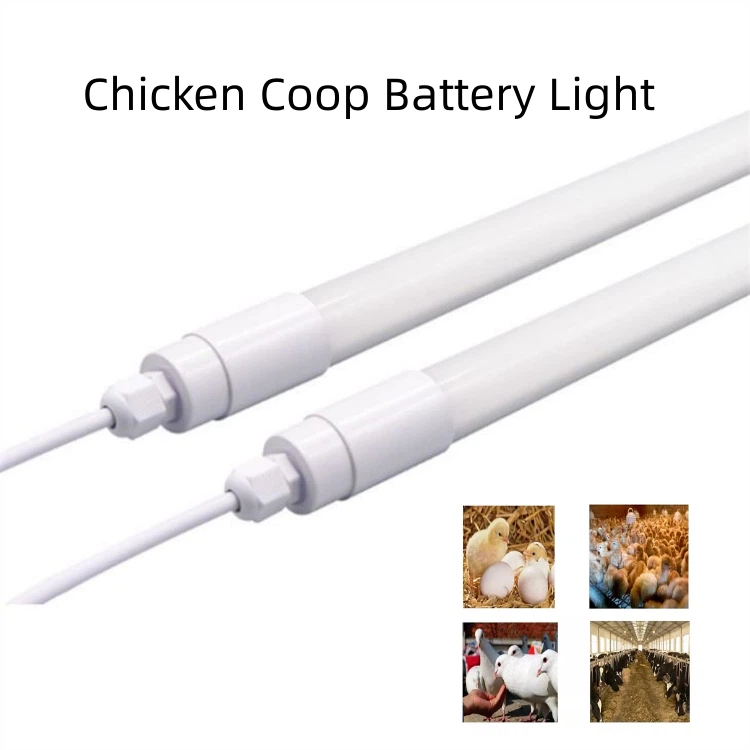 chicken coop battery light - chicken coop battery light -