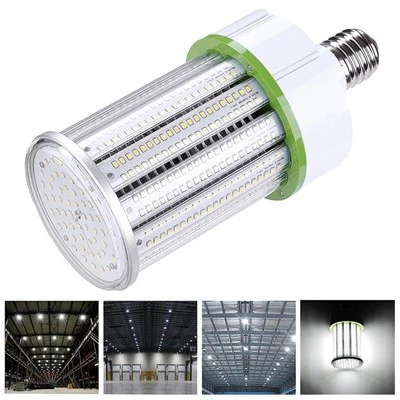 100 W LED maisipirnid