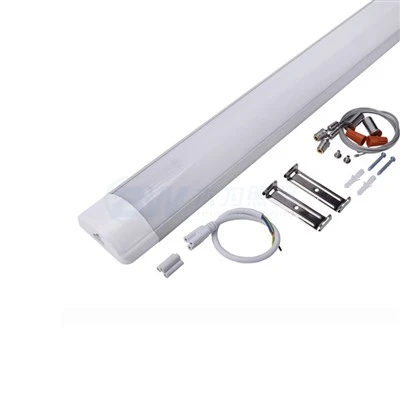 4FT LED-lambid