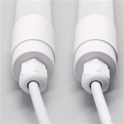 Chicken Farm Poultry T8 Tube Light