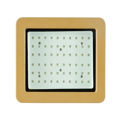 Plahvatuskindel Led valgustus 300W