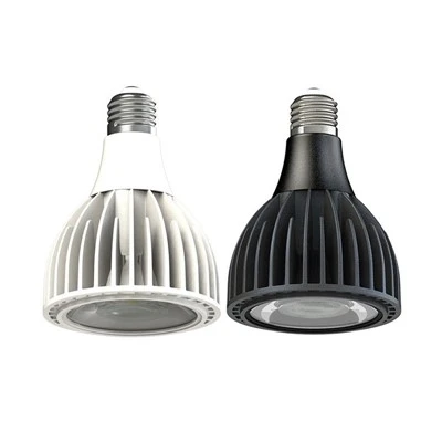 PAR30 High CRI 90 LED kohtvalgusti