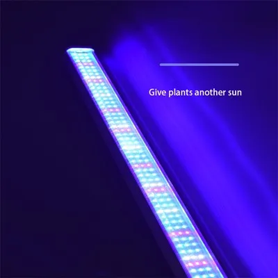 LED Grow valgusriba