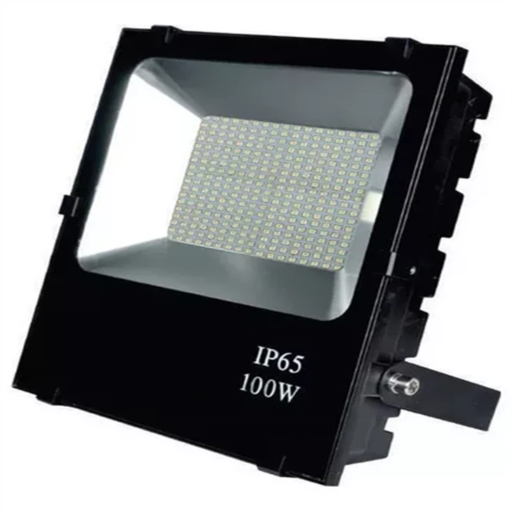 Yard Floodlight (2)